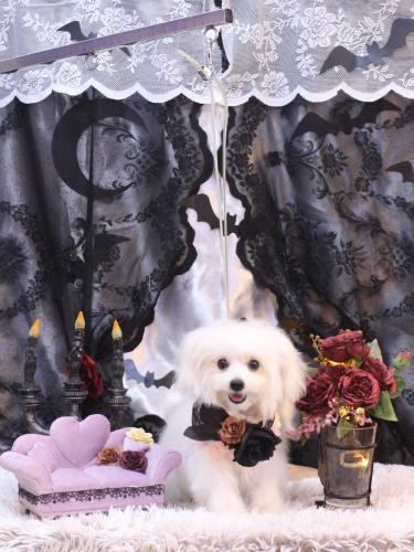 20231024小雪ちゃん